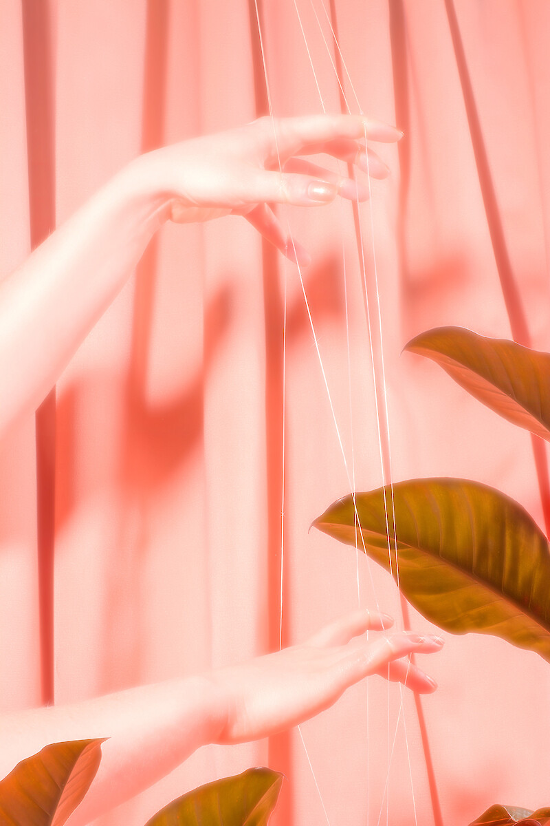 Garden of Eden 2.0