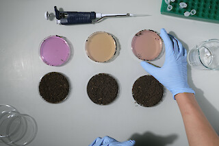 Indikator Gel Experimente. © Duy Bui, ZHdK.