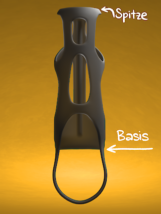 Drei vertikale Elemente sorgen für die Stabilität des Phallus. Sie reichen von der Spitze zur Basis.