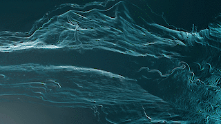 This overview generated from multibeam echosounder data shows a large section of Lake Constance. Illumination through several sidelight sources makes the topographic events clearly visible: water currents form the floor, harbour basins emerge and erosion lines can be seen.