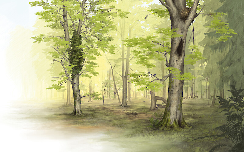 Eine belebte Waldlandschaft.