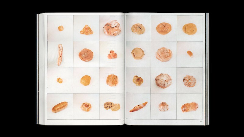 «Speaking Bread» by Carolina Márquez Bernard. © ZHdK.