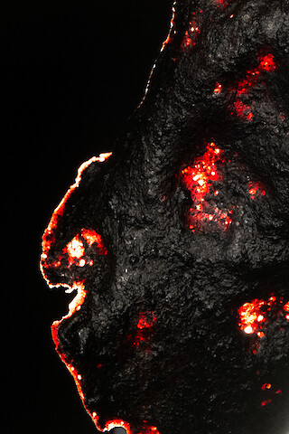 Blutserum, Gelatine. © ZHdK.