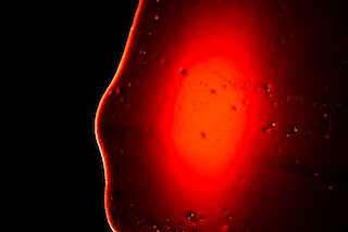 Blutserum, Gelatine, Glycerin. © ZHdK.