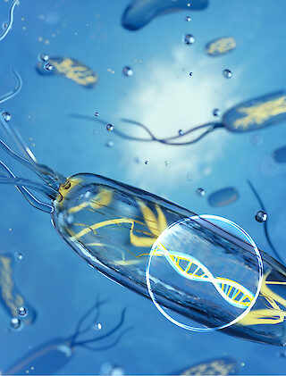 Proposed cover for the magazine «Nature». © ZHdK.