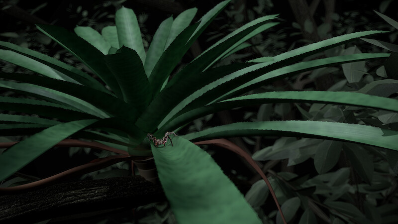 Cinema 4D-Szene. Auf Augenhöhe mit der Grossen Wanderspinne.