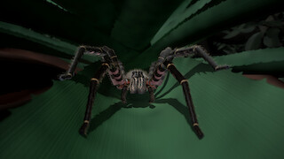 Film still from the VR animation film. From the perspective of the spider.