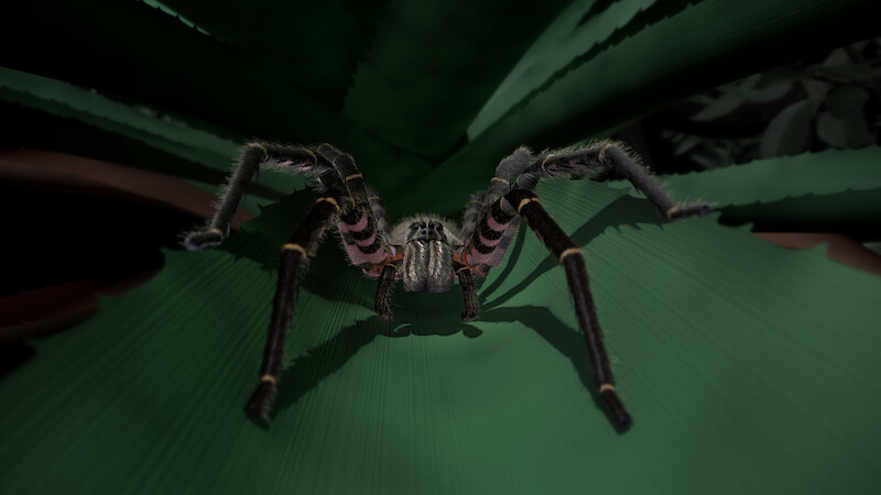 Filmstill aus dem VR-Animationsfilm. Aus der Perspektive der Spinne.