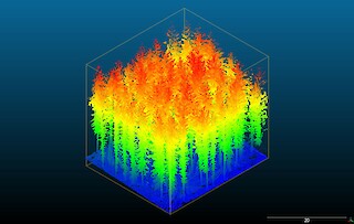 Point Cloud eines Waldes aus LiDAR-Scan. Versuch mit Point Clouds zu arbeiten, anstelle von 3D-Modellen aus Polygonen.