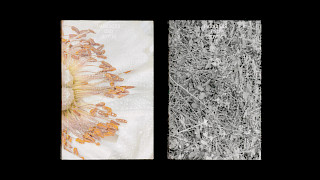 The publication «Paradies und Plage». Photo: Anja Rötheli & Noëlle Schmid. © ZHdK.