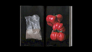 Image excerpts from the publication «Paradise and Plague». Image: Anja Rötheli & Noëlle Schmid. © ZHdK.