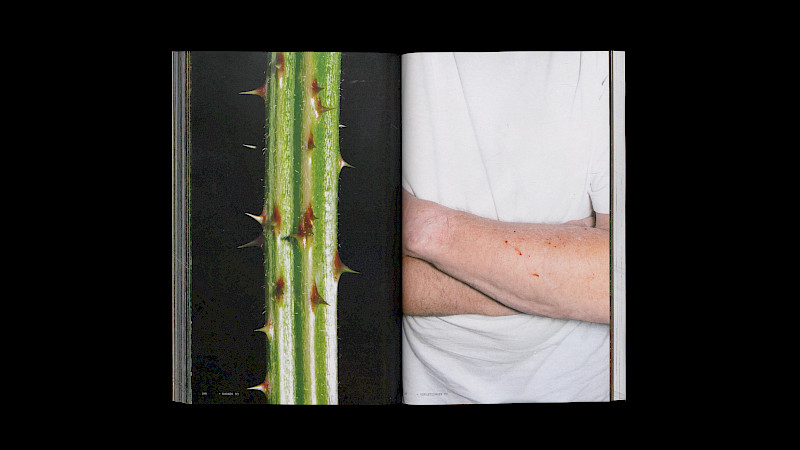 Image excerpts from the publication «Paradise and Plague». Image: Anja Rötheli & Noëlle Schmid. © ZHdK.