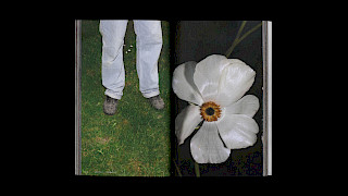 Image excerpts from the publication «Paradise and Plague». Image: Anja Rötheli & Noëlle Schmid. © ZHdK.