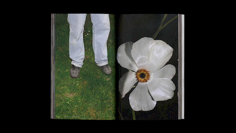 Image excerpts from the publication «Paradise and Plague». Image: Anja Rötheli & Noëlle Schmid. © ZHdK.