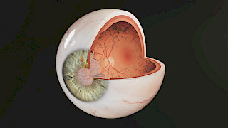 Illustration from the project «Visible Vision». Image: Ida Künzle. © ZHdK.