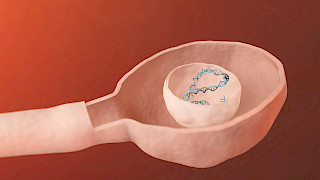 Image: Ida Künzle. © ZHdK.