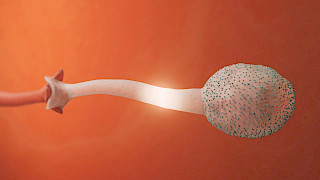 Image: Ida Künzle. © ZHdK.