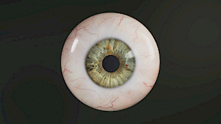 Illustration from the project «Visible Vision». Image: Ida Künzle. © ZHdK.