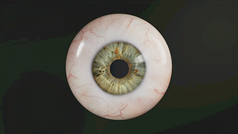 Illustration from the project «Visible Vision». Image: Ida Künzle. © ZHdK.