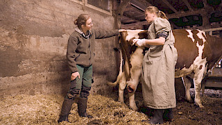 Still aus der Doku «Misten, melken, managen - wenn Töchter den Hof übernehmen». Bild: Désirée Ottiger. © ZHdK.