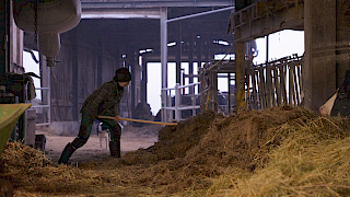 Still aus der Doku «Misten, melken, managen - wenn Töchter den Hof übernehmen». Bild: Désirée Ottiger. © ZHdK.
