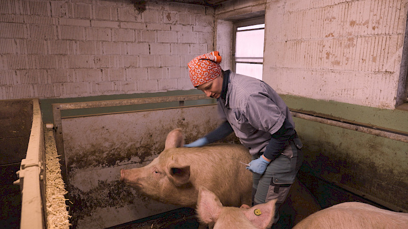 Still aus der Doku «Misten, melken, managen - wenn Töchter den Hof übernehmen». Bild: Désirée Ottiger. © ZHdK.