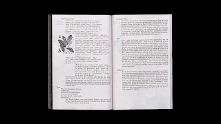 Image: Anja Rötheli & Noëlle Schmid. © ZHdK.