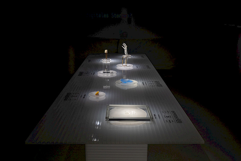 Exhibition photo of «Final_Backup». Photo: Jonatan Bischof & Elias Diehl. © ZHdK.