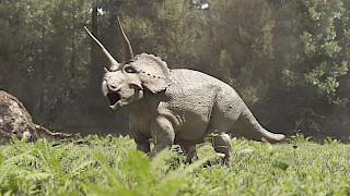 Visualisation of a Triceratops. Photo: Joël Borter. © ZHdK.