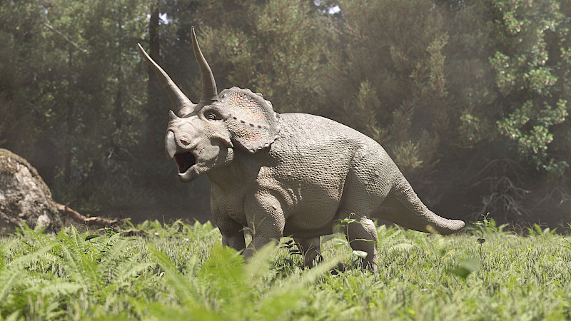 Visualisierung eines Triceratops. Foto: Joël Borter. © ZHdK.