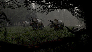 Photo: Joël Borter. © ZHdK.