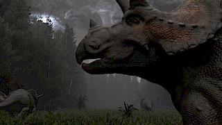 Photo: Joël Borter. © ZHdK.