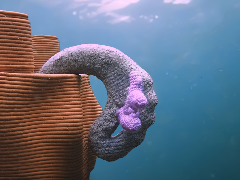 «CORALLUM» ist ein Korallenrestaurations-Modul, worauf Korallen stressfrei wachsen können. Foto: Emilia Lendi. © ZHdK.