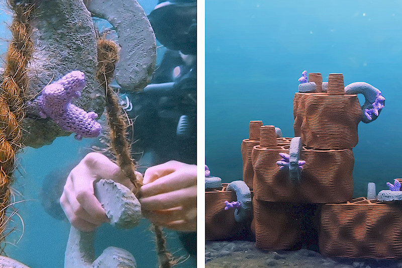 Die Aufzucht der Korallen erfolgt im Coral Nursery, bevor sie am Riff von rrreefs montiert werden. Foto: Emilia Lendi. © ZHdK.