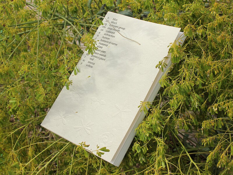 Bachelor project «printed plants catalog» by Nicolas Wagner. © ZHdK.