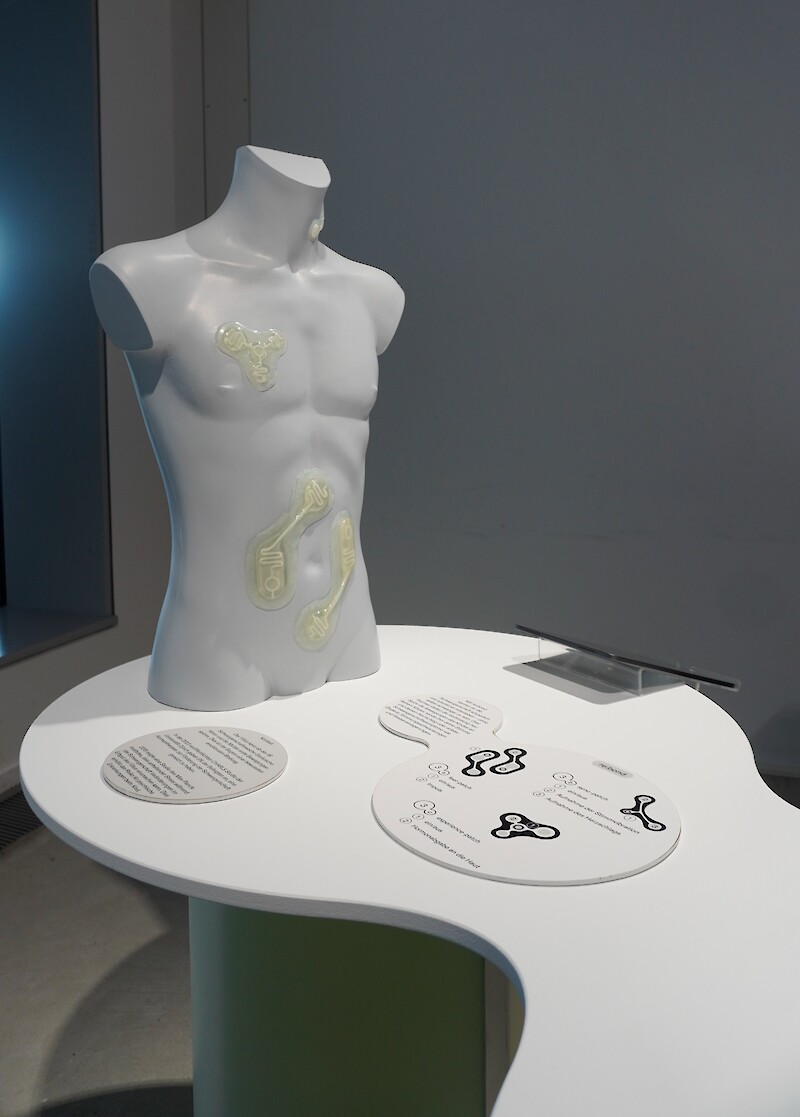 Bachelor project «Re:production» by Raymond Frey & Papoula Kolb. © ZHdK.