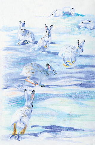 Bachelorarbeit «Schmelzende Spuren» von Lena Hochhuth. © ZHdK.