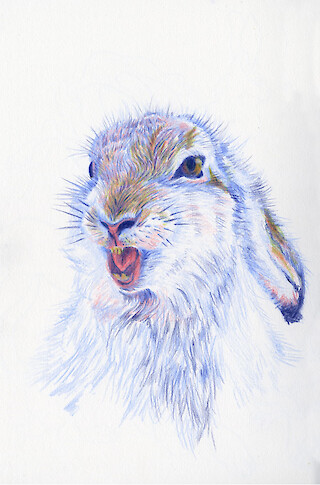 Bachelorarbeit «Schmelzende Spuren» von Lena Hochhuth. © ZHdK.